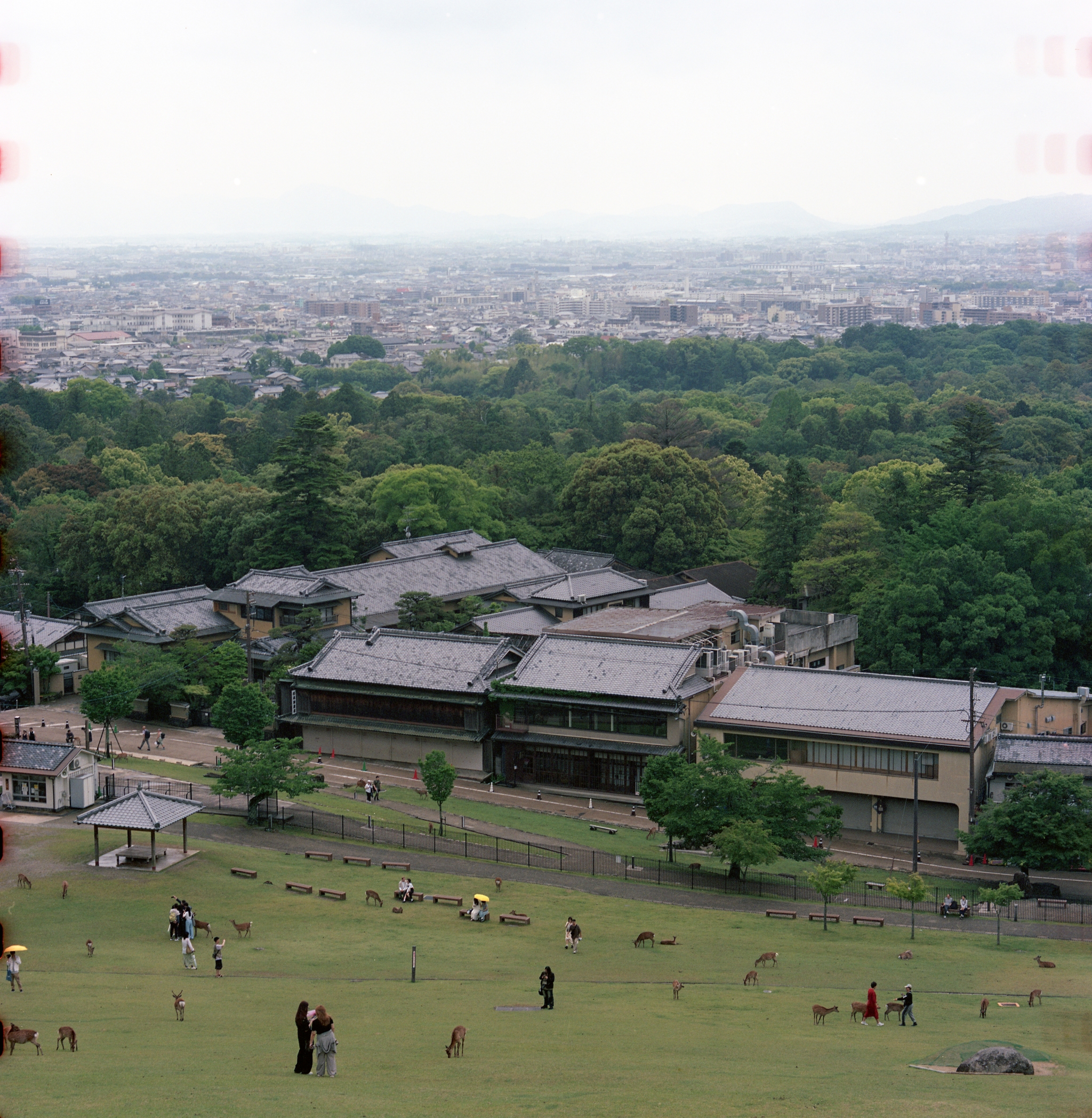 Nara