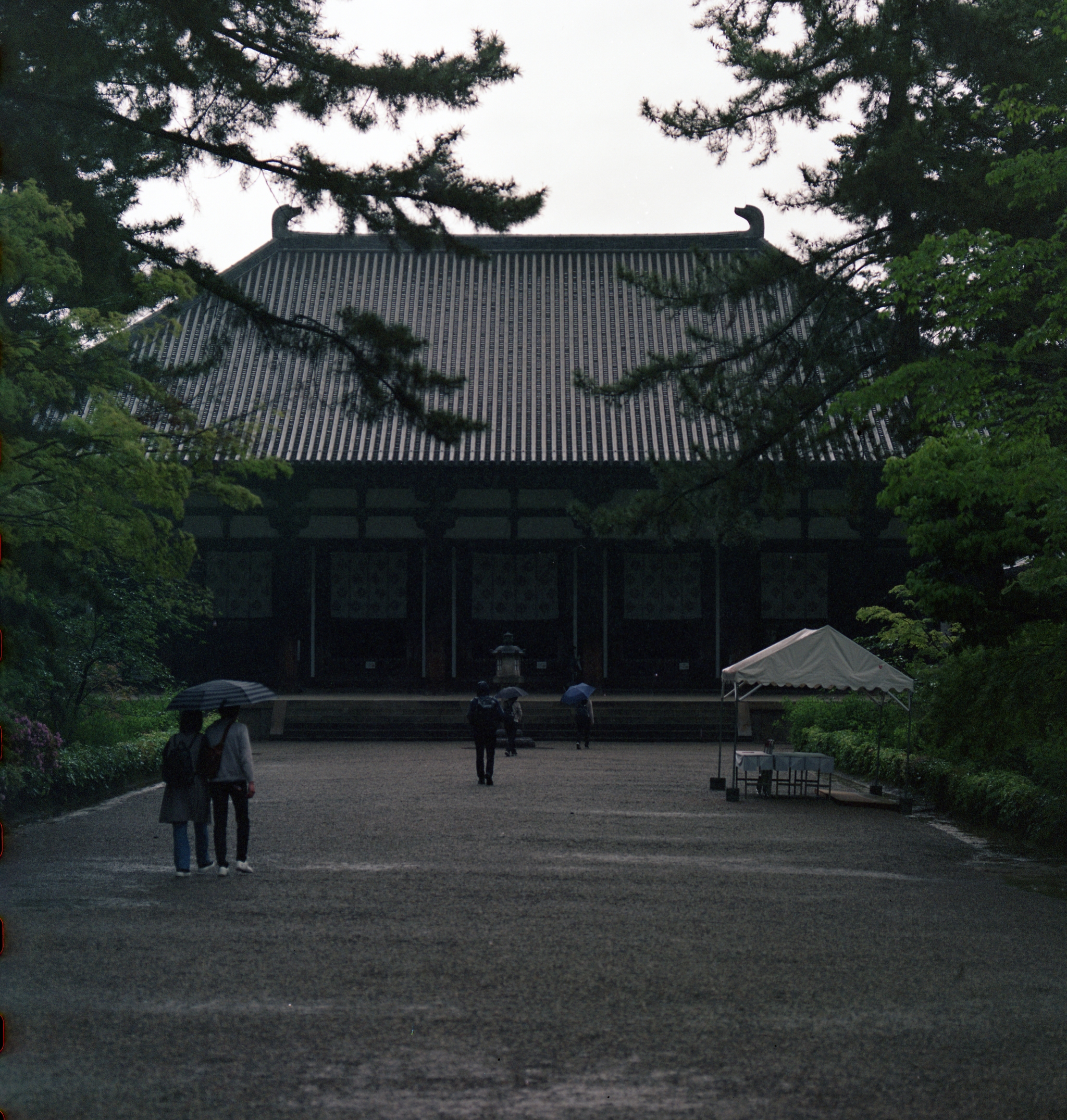 唐招提寺