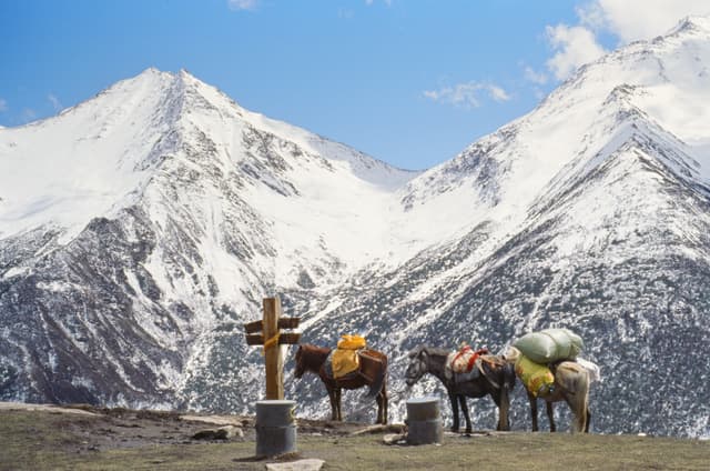 四姑娘山